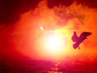 /album/photo-gallery-ljubov-i-romantika/love-and-romance-wallpapers-079-jpg/